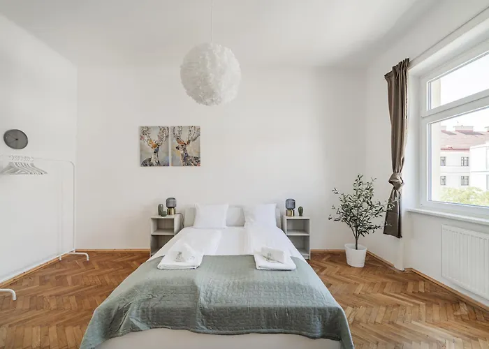 Spacious Studio In Vienna