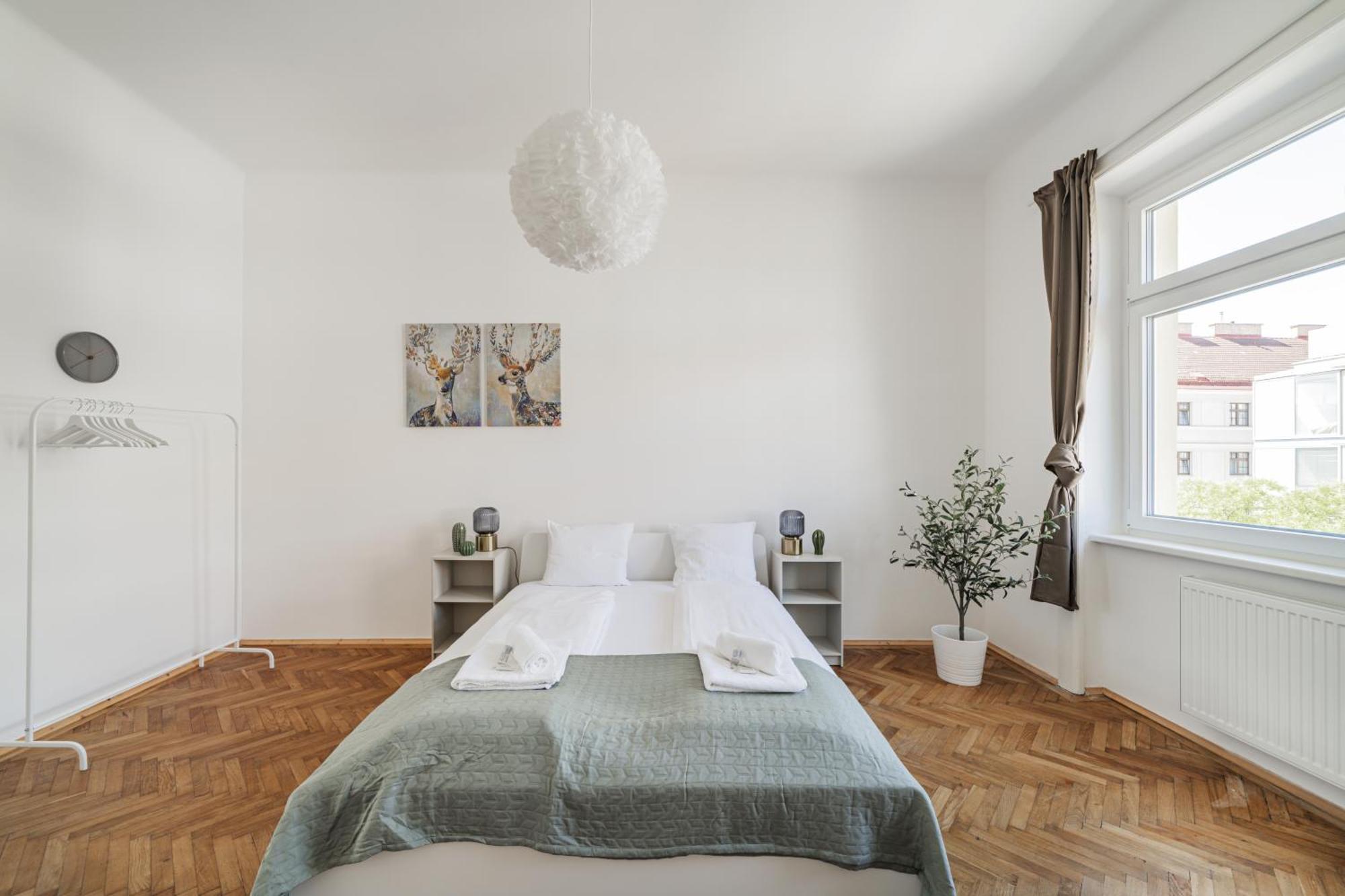 Spacious In * Vienna